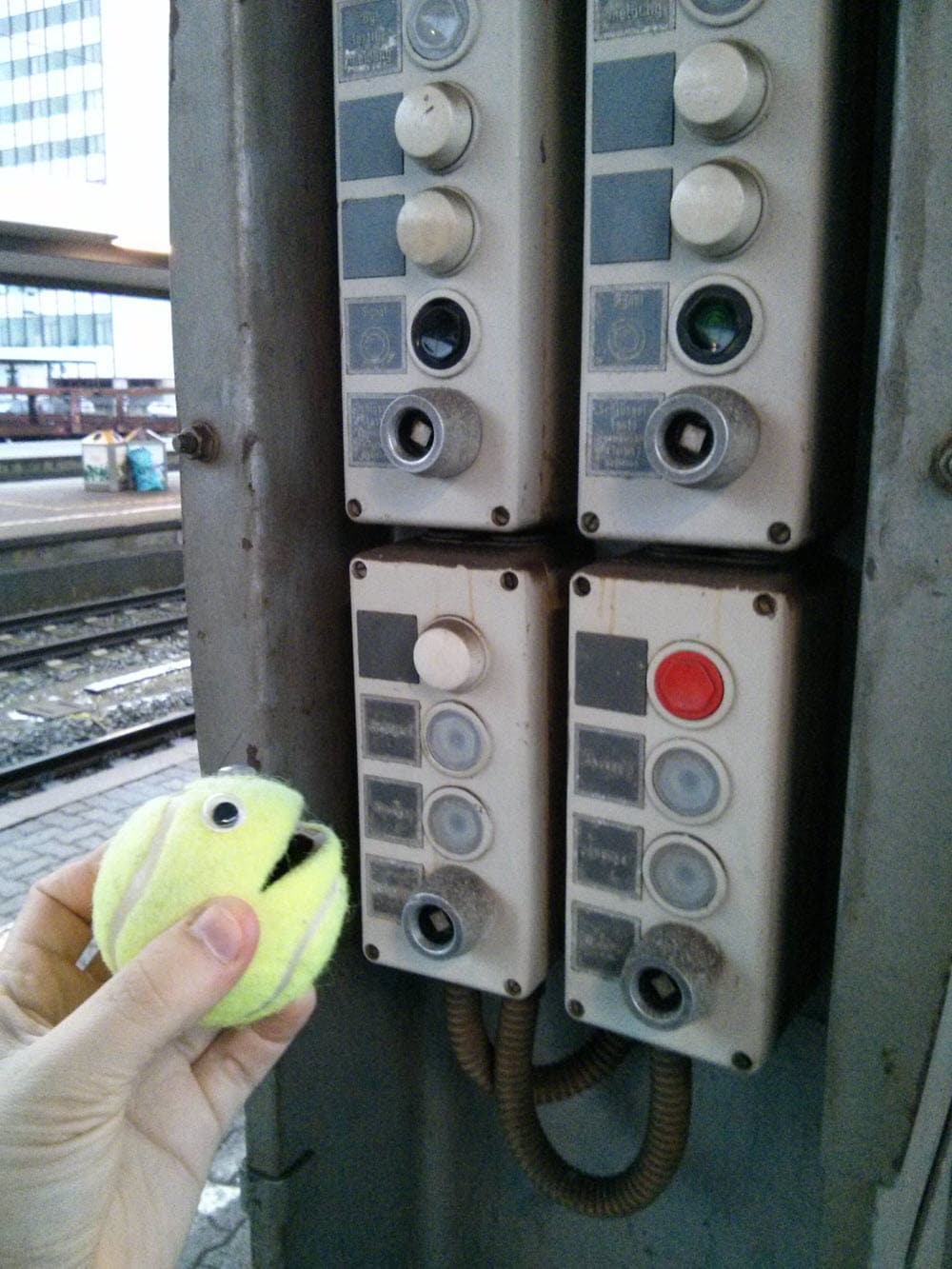 Ball kun drueckt die Knoepfe