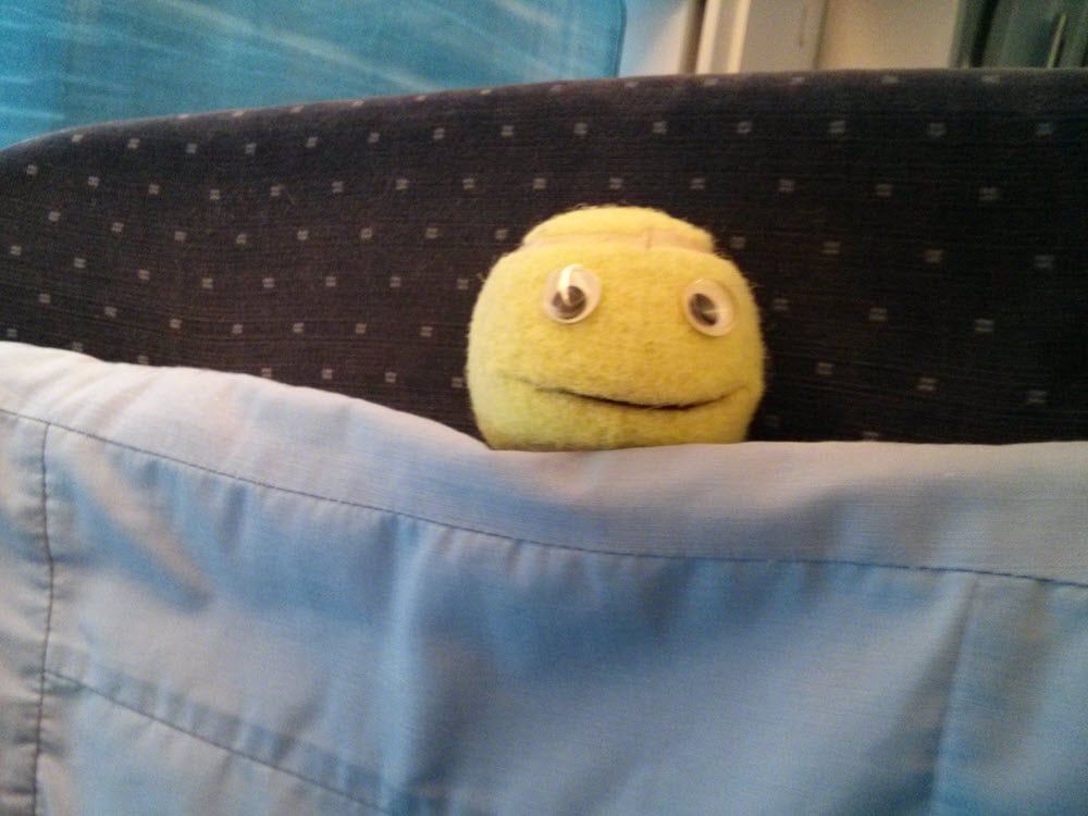 Gelber Ball mit Augen und Lächeln auf einem Sitz im Zug.