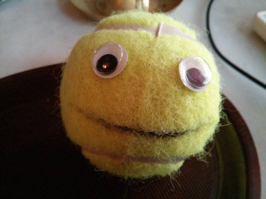 Fellball mit großen Augen und lachender Miene.
