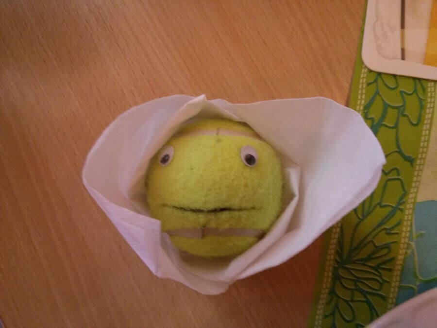 Der Ball-Kun in einer weißen Blume auf einem Holztisch.